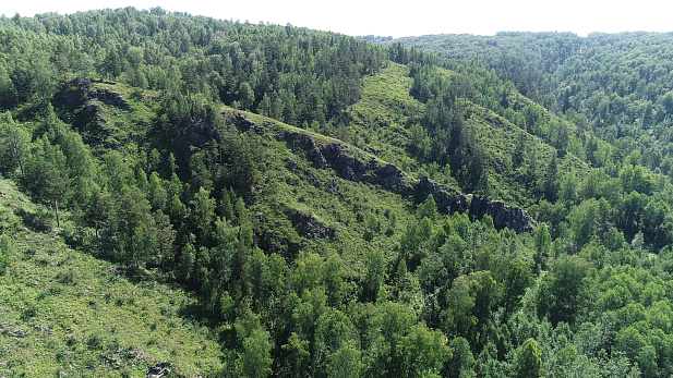 Кольцо Дракона