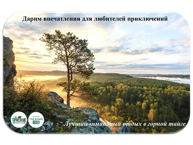 Летние корпоративы